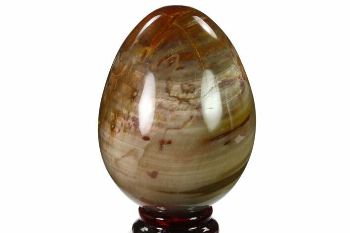 Colorful, Polished Petrified Wood Egg - Triassic #133907